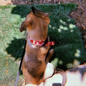 Meet your Posher, Natalia